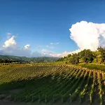 Escape To Vineyards, Elba * Radda in Chianti