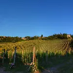 Escape To Vineyards, Elba Apartment Radda in Chianti