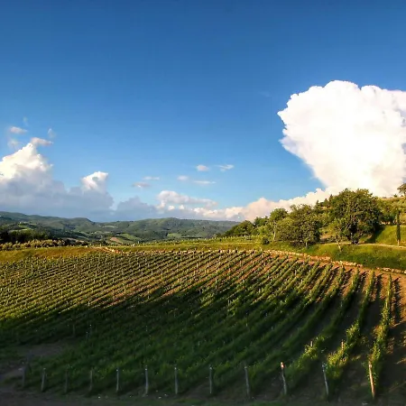 Belvilla By Oyo Uva * Radda in Chianti