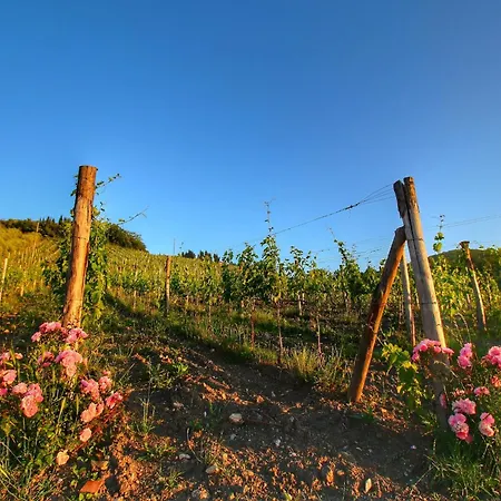 Apartment Escape To Vineyards, Elba Radda in Chianti